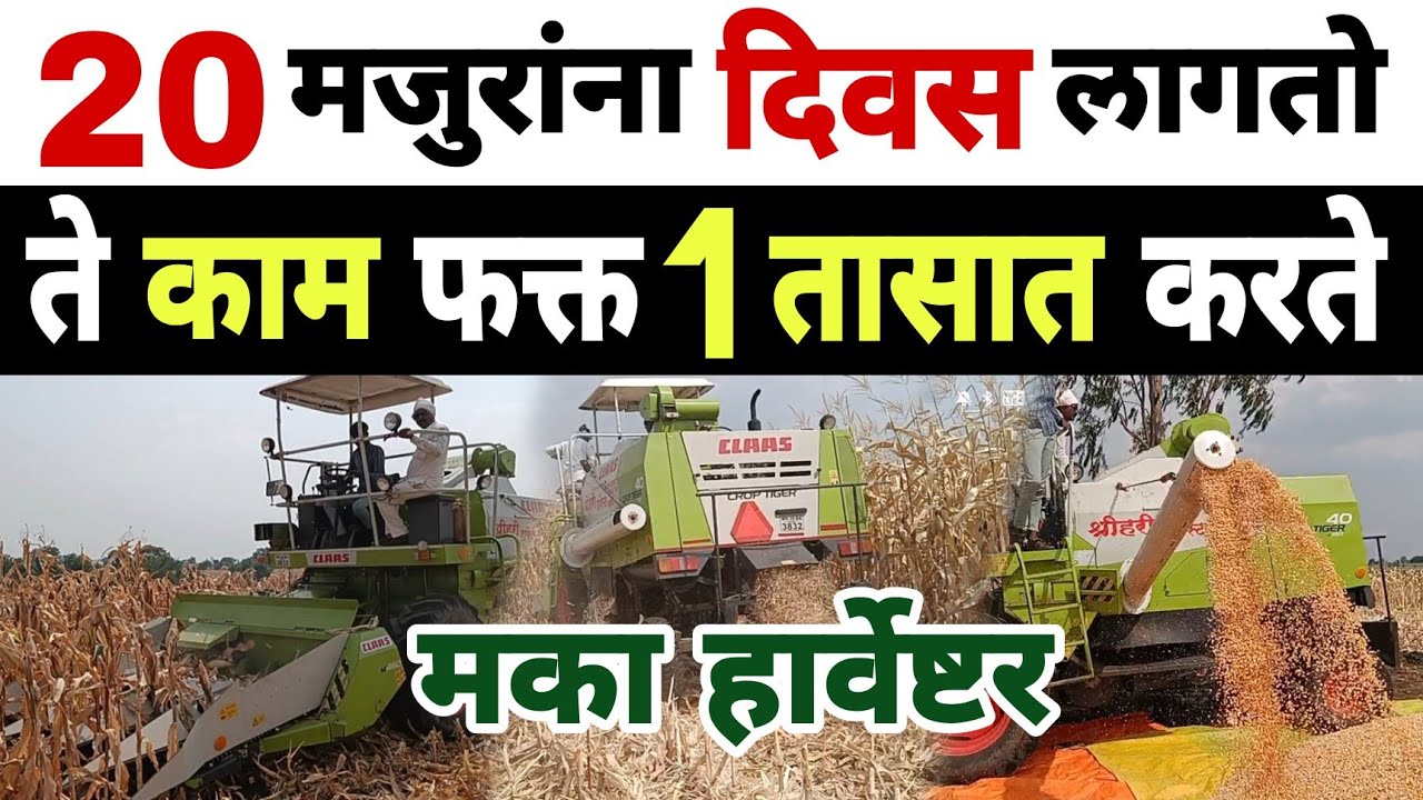मका हार्वेष्टर | Maize Harvester | Dnyaneshwar Kharat Patil |