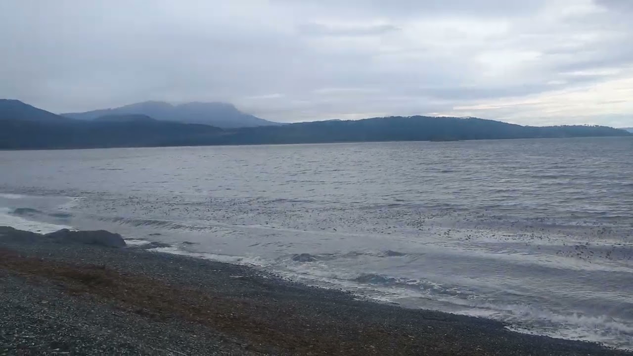 Cabo Froward walk Day 5 - to Rio San Nicolas 10/01/26