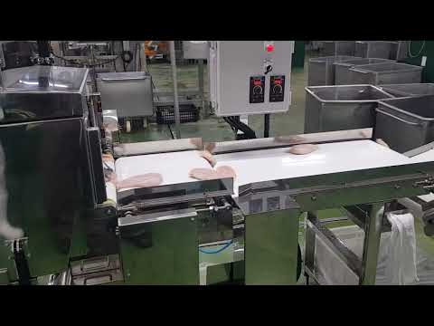 X Ray Machine Inspector