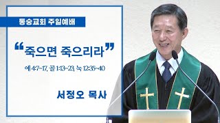 20200809 : 죽으면 죽으리라 (에 4:7~17, 골 1:13~23, 눅 12:35~40 ) : 서정오목사 동숭교회 주일예배