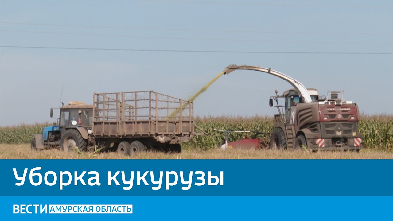 Новые Комбайны 2022 Года Новые Комбайны 2022 Года