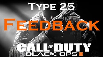 Feedback for the Type 25 Classes You Suggested, Black Ops 2 Weapon Guide