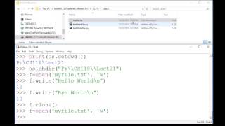 python File I/O