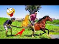 Try Not To Laugh with 35 Minutes Comedy Videos - Best Compilation from SML Troll - chistes - Ep 44