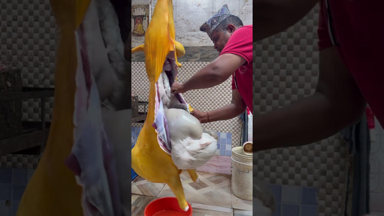 मिठो ताजा अरगानिक मासु तयार भयो