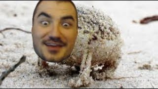 Angry Squeaking Kripparrian V.2