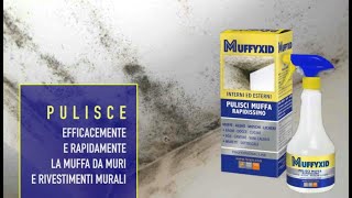 Problemi Di Muffa?? Muffyxid È La Soluzione