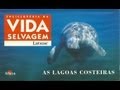 Vida Selvagem - As Lagoas Costeiras - Parte 1 / 5