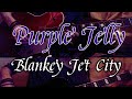【リアルカラオケ】Purple Jelly - Blankey Jet City【小さな猿】