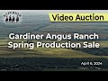 Gardiner angus spring production sale