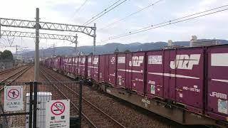 EF210-301牽引貨物列車 東海道本線 さくら夙川