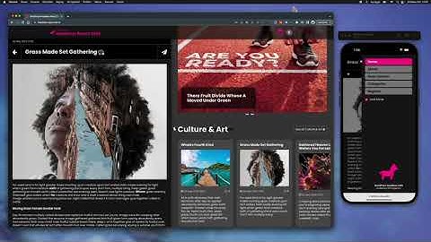 React & Wordpress Headless CMS Theme - Demo