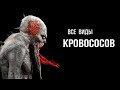 5 видов Кровососов - STALKER