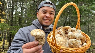 How to Hunt Pine Mushrooms - Matsutake Picking and Foraging in Washington State