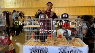 Poultry Show | Vlog