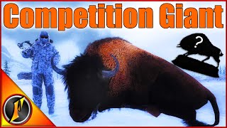An Absolute Giant Bison for a Competition Winner???