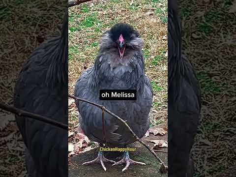 Alla ricerca di Melissa🦆🤣