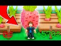 ПЕРВЫЙ РАЗ ИГРАЮ В GROW A GARDEN В РОБЛОКС!