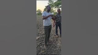 On to the next village in Kapiri Mposhi were our happy farmer shared a happy testimonial