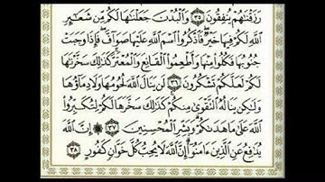 سورة الحج ( كاملة ) بصوت محمد عبادة