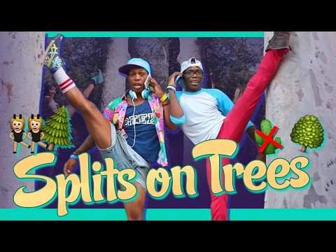 #SplitsOnTrees by Todrick Hall (featuring Unterreo Edwards)