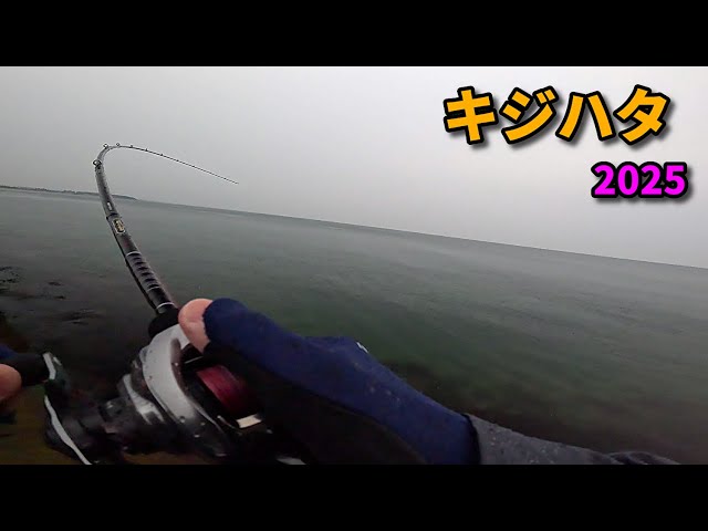 We enjoyed a feeding frenzy with the Heartland 7112MRB while