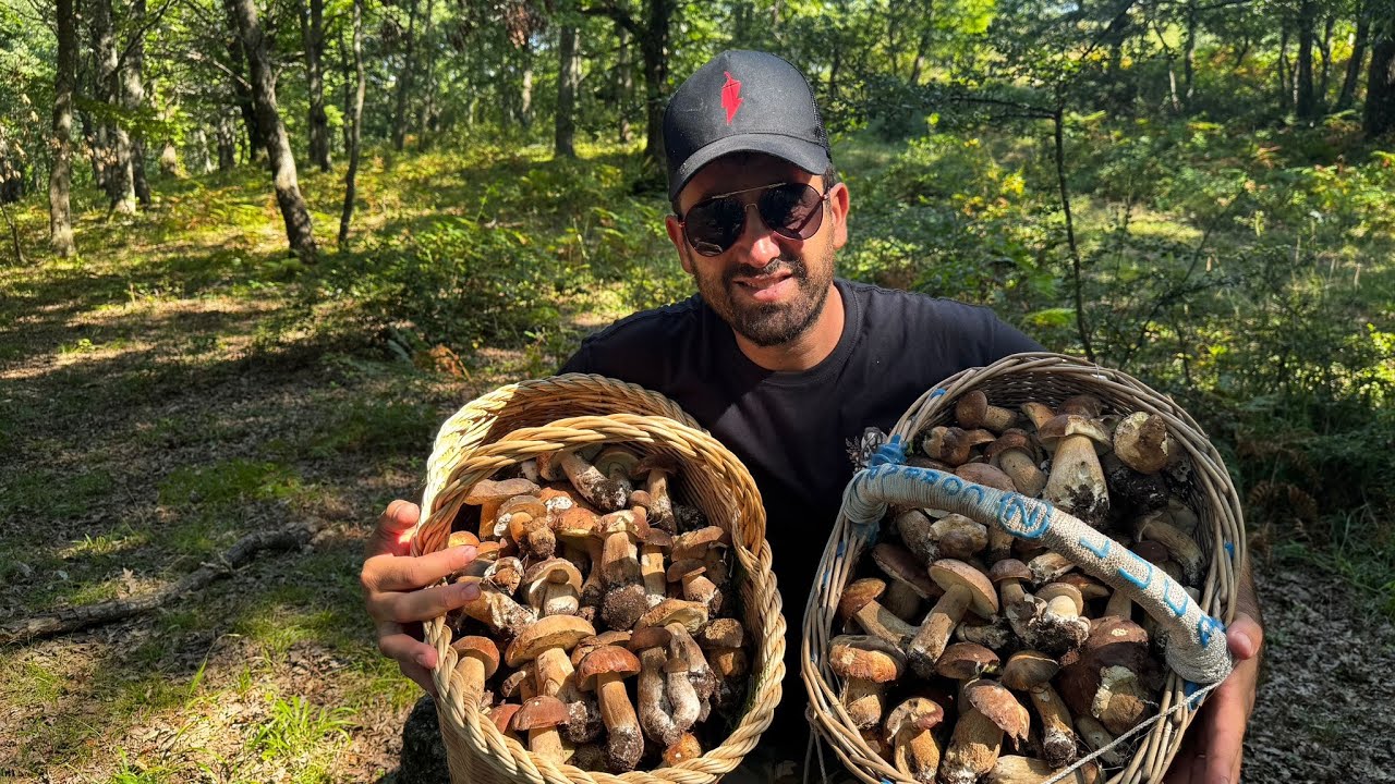 “Caccia ai Funghi Porcini 2025 🍄 Avventura tra i Boschi con Pasquale sotto il Sole 🔥” Sperone boom