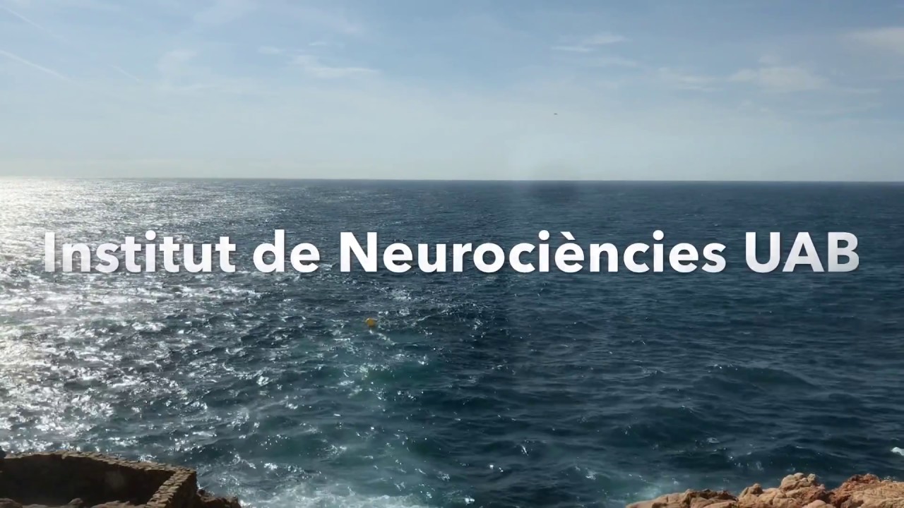 VI INc Scientific Conferences - YouTube