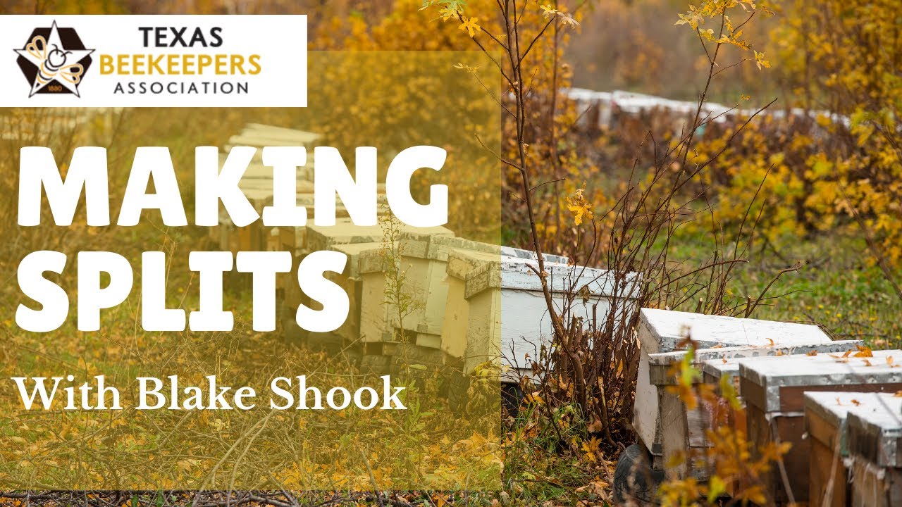 Making Splits - Honey Bee Management with Blake Shook