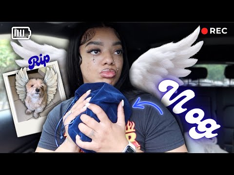 PICKING UP HANNAH S ASHES 