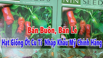 đại lý bán buôn bán lẻ hạt giống ớt cu tí nhập khẩu mỹ chính hãng, giao hàng toàn quốc