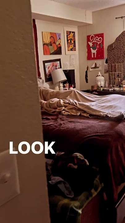Body pillow almost gave us a heart attack