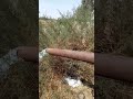 محطة شمسية بقدرة 40 حصان 35 كيلووات محافظة قنا