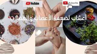 أعشاب تعالج ضعف الأعصاب والعضلات نهائيا.. تناولها وحافظ على صحتك