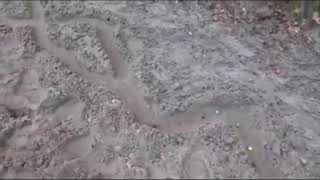 Play Marbels Kanchay ki rais screenshot 5