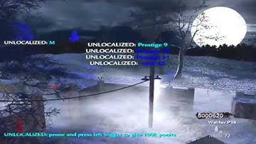 My New WaW Mods With Pick Prestige, Change Models And Many More