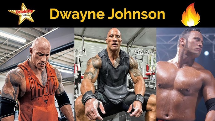 Dwayne Johnson's Height, Weight And Body Measurements - Celebily