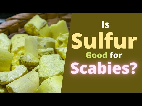 Sulfur for Scabies - Is it Good, How to Use Sulfur Ointment to Help with Scabies?