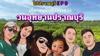 ไปปราณบุรี EP 9 1 ใน 10 จุดเช๊คอิน ที่คุณไม่ควรพลาด เที่ยวชมป่าโกงกาง 100 ปี… วนอุทยานปราณบุรี