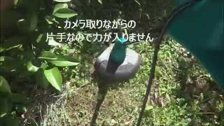 161015 ボッシュART26SL草刈り機