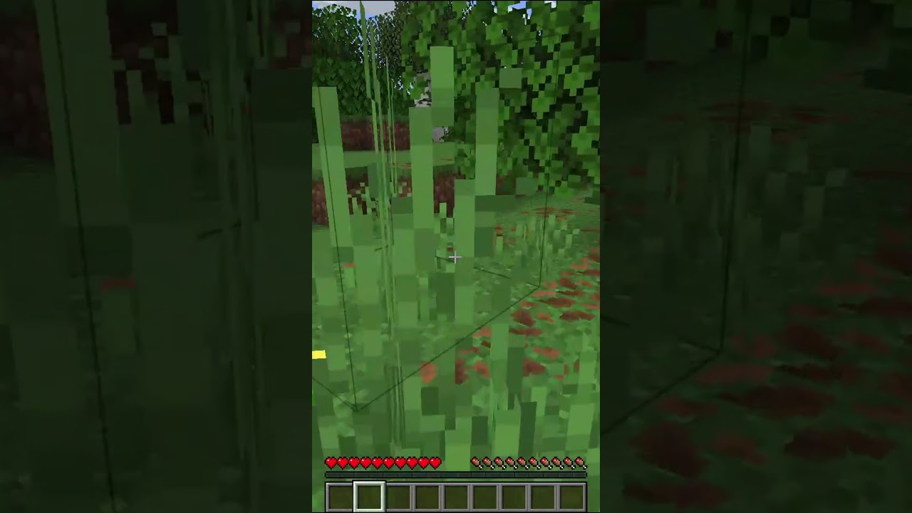 When there is a hidden lava pool #minecraftshorts