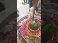 Ohm Namah Shivay