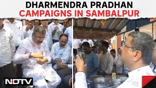 Lok Sabha Election 2024 | Union Minister Dharmendra Pradhan Campaigns In Sambalpur, Odisha