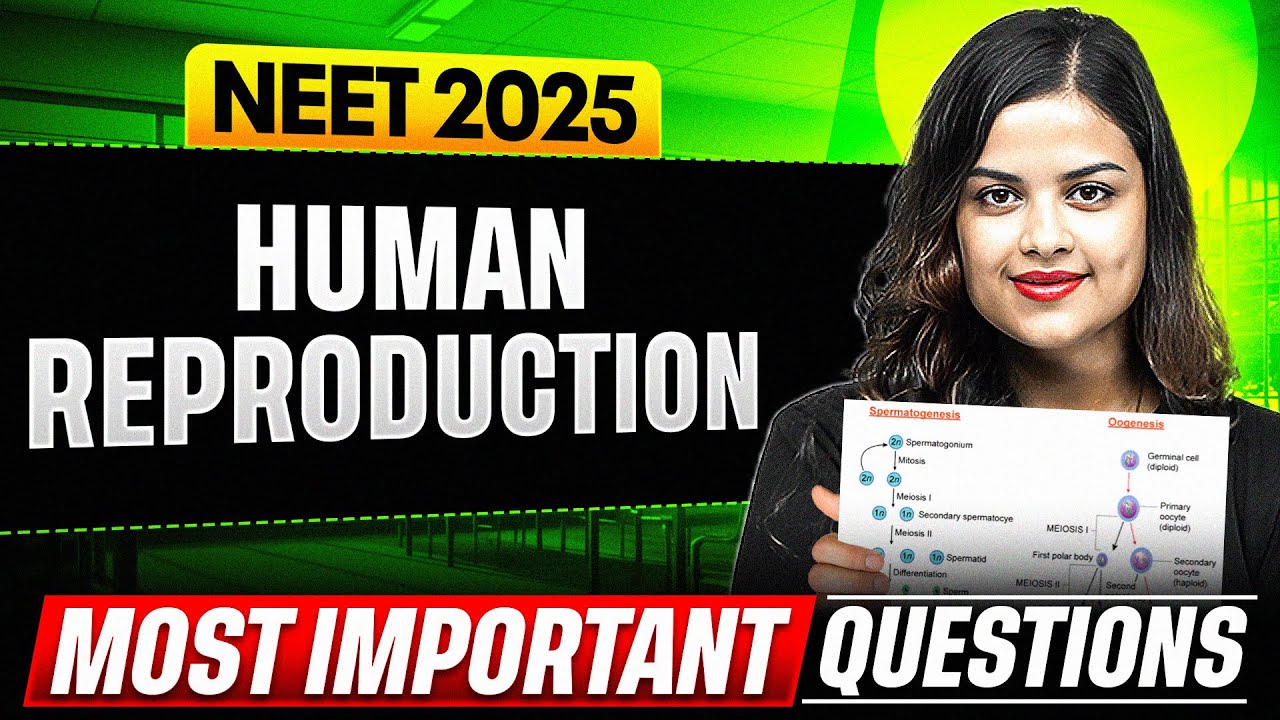 HUMAN REPRODUCTION - Most Important Questions for NEET 2025 ...