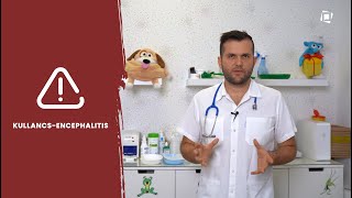 Tények És Tévhitek A Kullancs-Csípésről