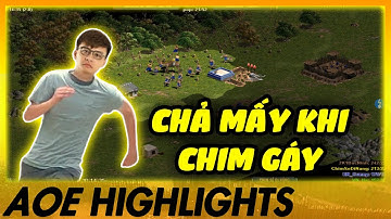 Palmyran của CSDN khung quả hốc SIÊU DỊ! | AoE Highlights
