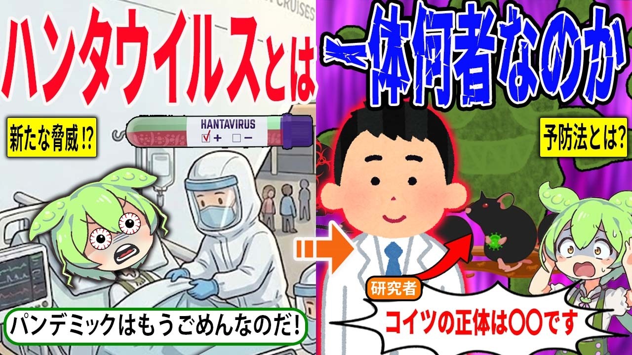 新たなる脅威！？ハンタウイルスとは一体何者なのか…その正体とは？【ずんだもん＆ゆっくり解説】