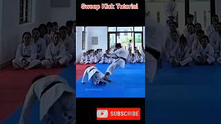 Fastest sweep ever ⚡🥋 #shorts #kungfu #karate #russia