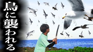 【衝撃映像】10000匹の鳥に襲われました【脱出不可能な無人島でサバイバル２nd #3】