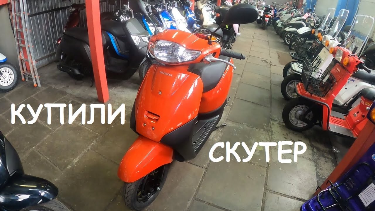 Покупаем скутер для дачи! Подбор Honda Tact AF75.